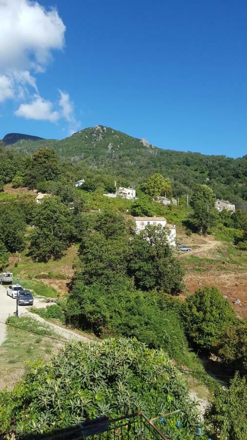 English Club In Corsica B&B Porri Exterior photo