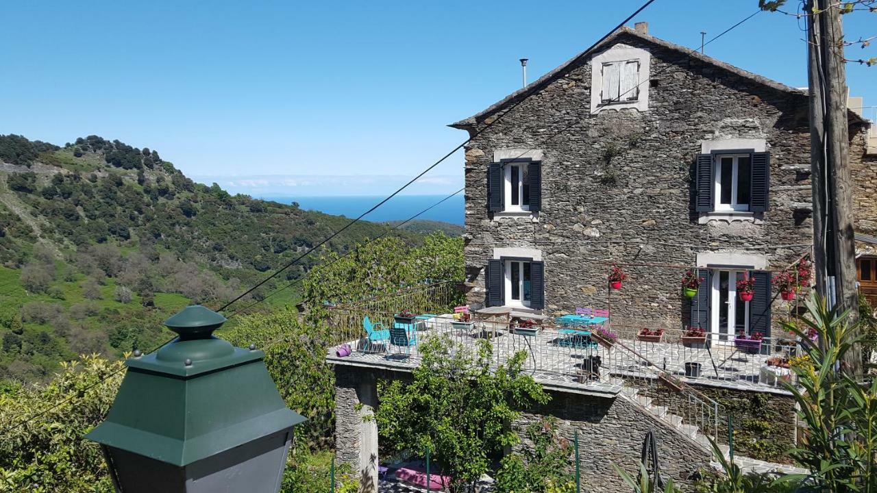 English Club In Corsica B&B Porri Exterior photo