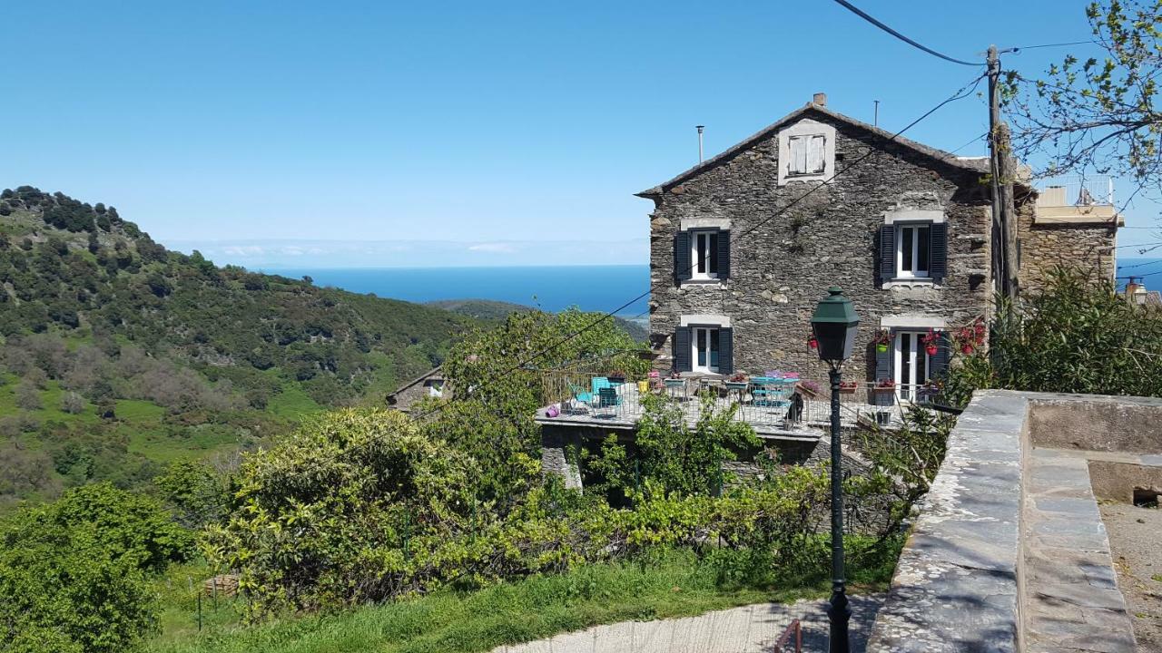 English Club In Corsica B&B Porri Exterior photo